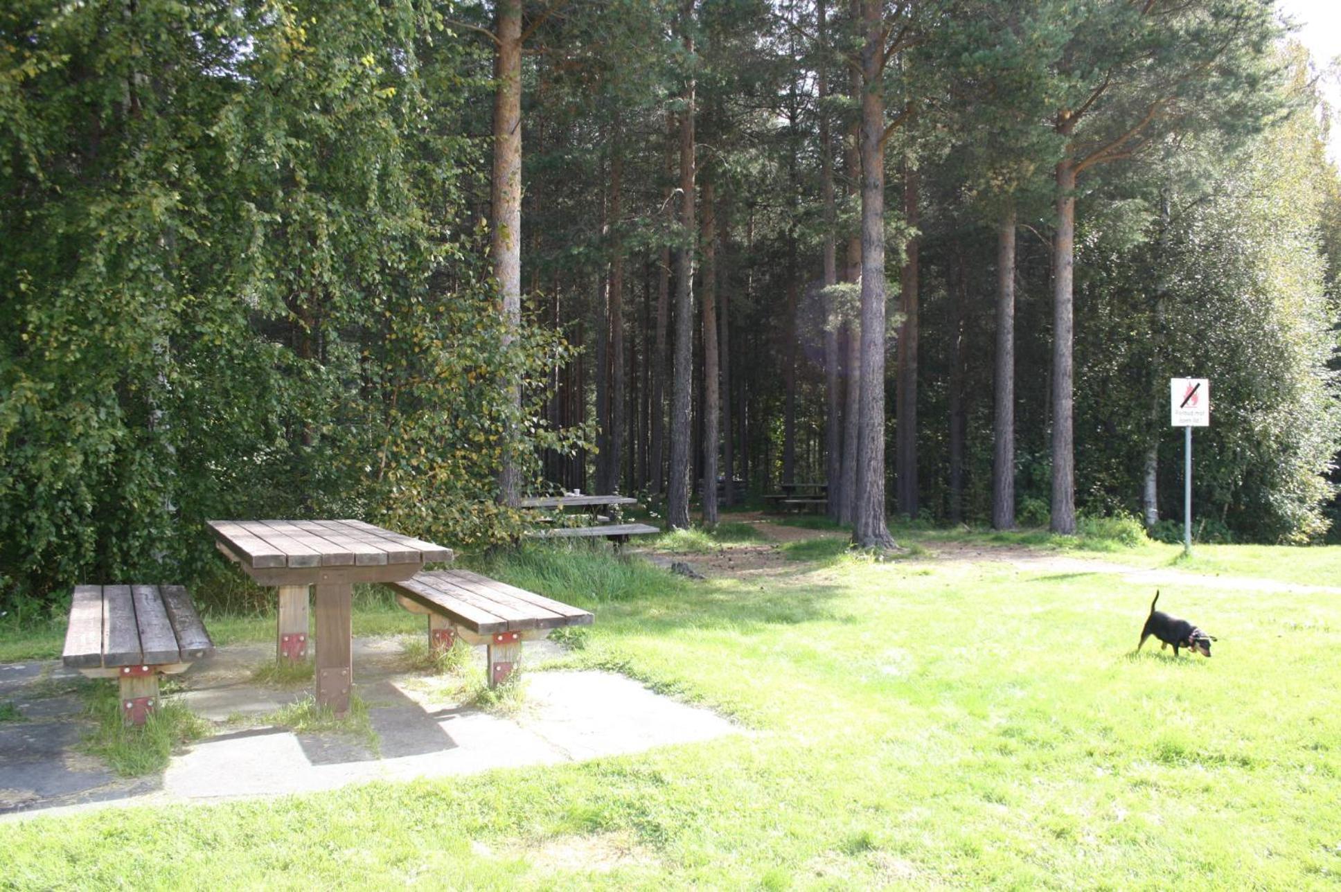 Dovreskogen Gjestegard As エクステリア 写真