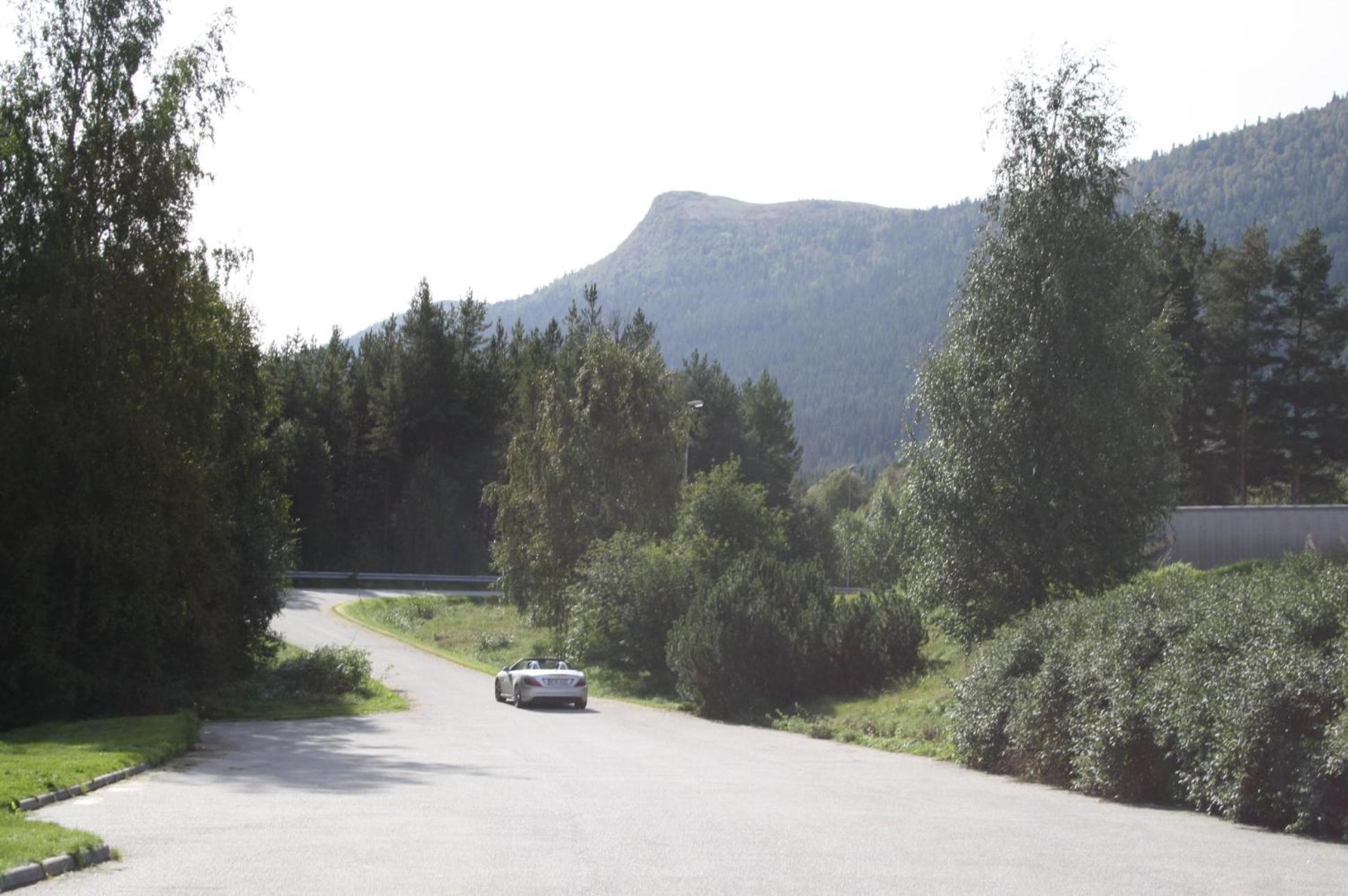 Dovreskogen Gjestegard As エクステリア 写真